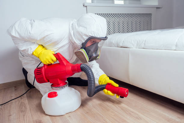 Pest Control Cost in Palm Valley, TX