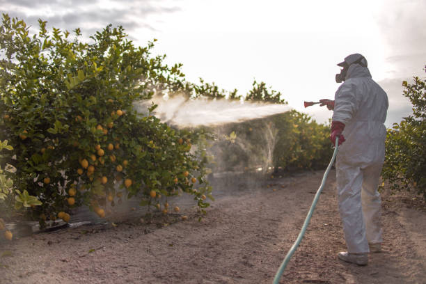 Best Best Pest Control Companies  in Palm Valley, TX