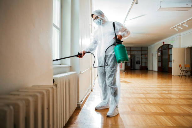Best Affordable Pest Control Services  in Palm Valley, TX