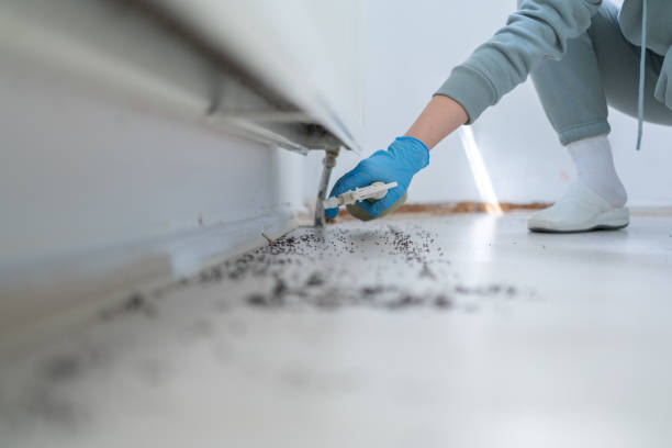 Best Cockroach Control Services  in Palm Valley, TX